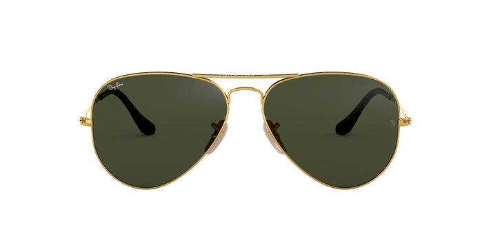 Ray-Ban Aviator Large Metal-11