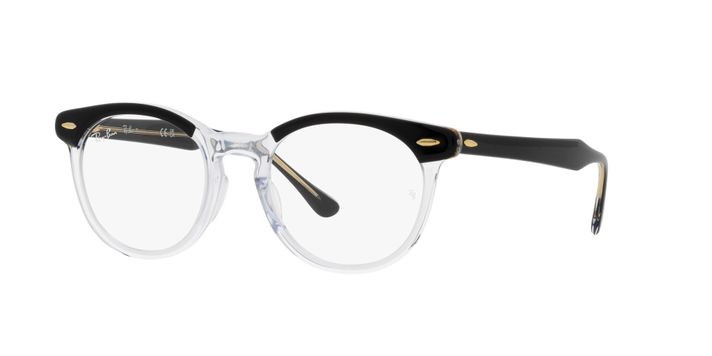 Ray-Ban Eagleeye-0
