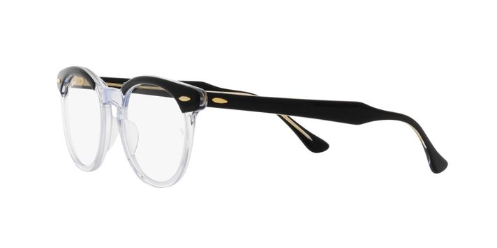 Ray-Ban Eagleeye-1