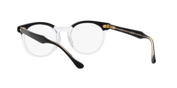 Ray-Ban Eagleeye-4