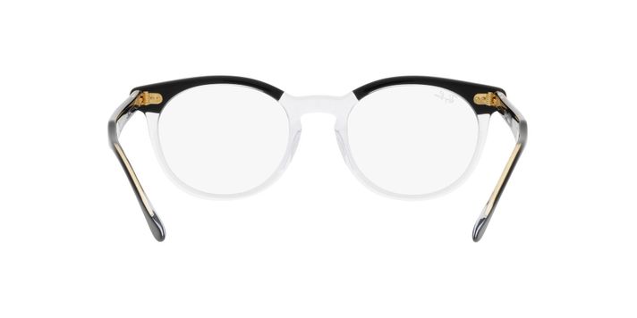 Ray-Ban Eagleeye-5