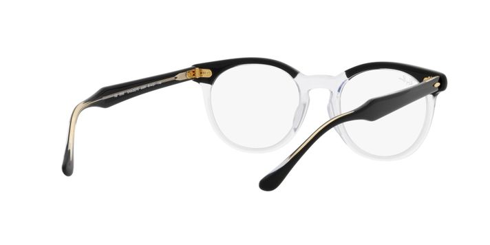 Ray-Ban Eagleeye-6