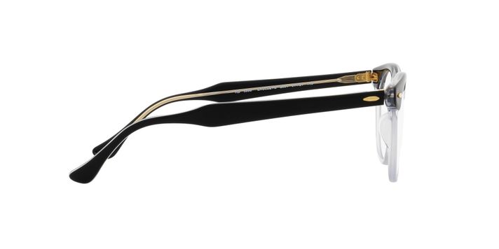 Ray-Ban Eagleeye-8