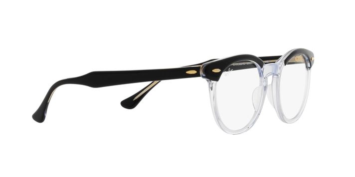 Ray-Ban Eagleeye-9