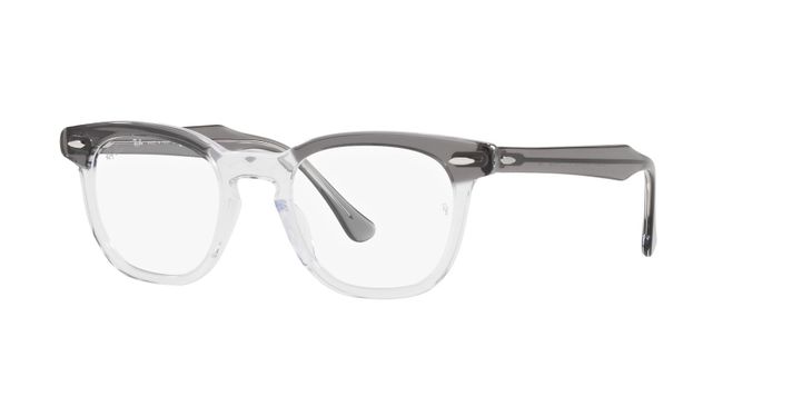 Ray-Ban Hawkeye RX5398 8111 48-0