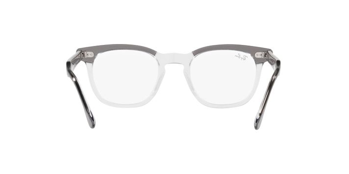 Ray-Ban Hawkeye RX5398 8111 48-5