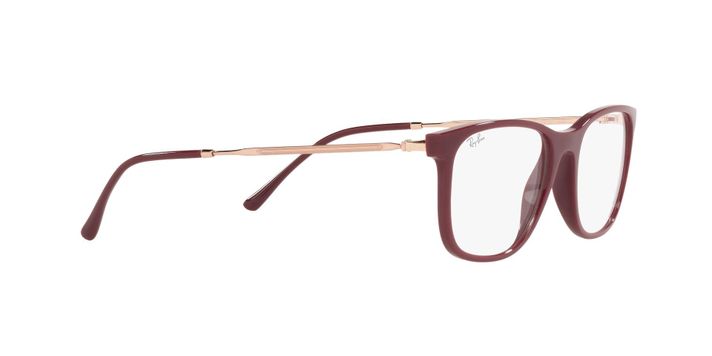 Ray-Ban RX7244 RX7244 8099 53-9