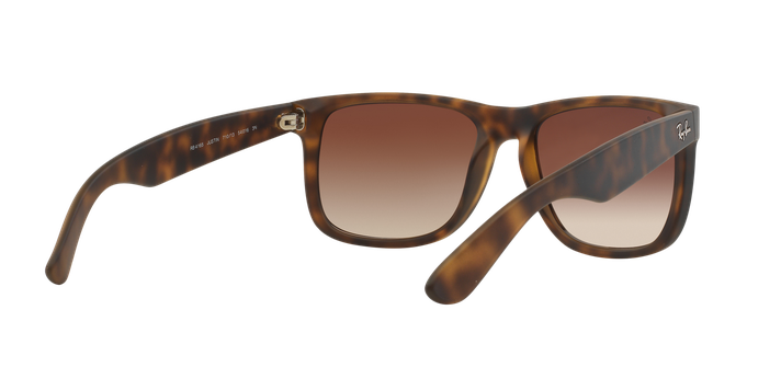Ray-Ban Justin-6