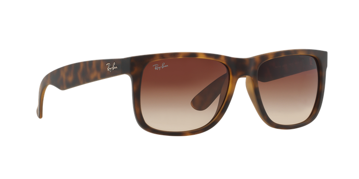 Ray-Ban Justin-10