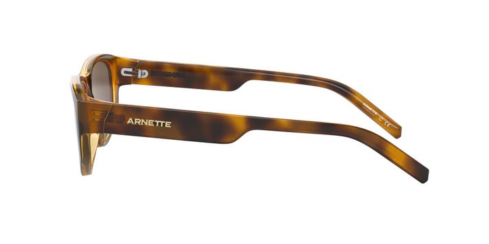 Arnette Daemon-2