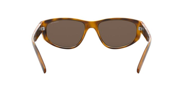 Arnette Daemon-5