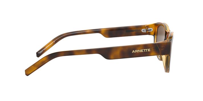 Arnette Daemon-8