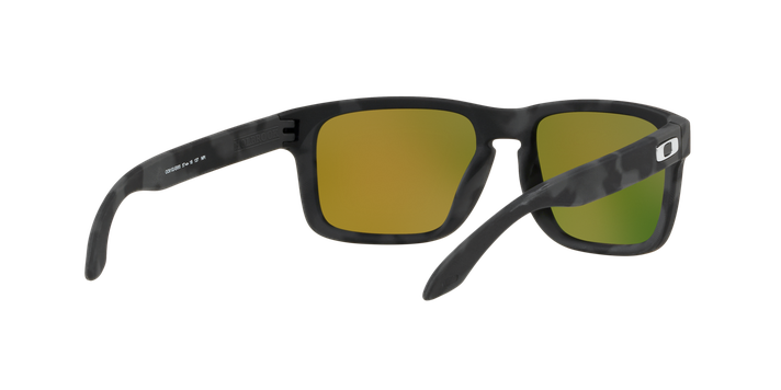 Oakley Holbrook Prizm-6