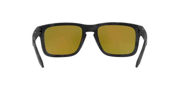 Oakley Holbrook Prizm-5