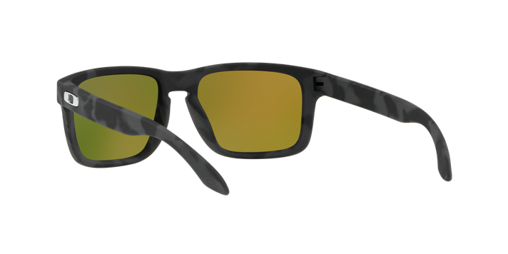 Oakley Holbrook Prizm-4