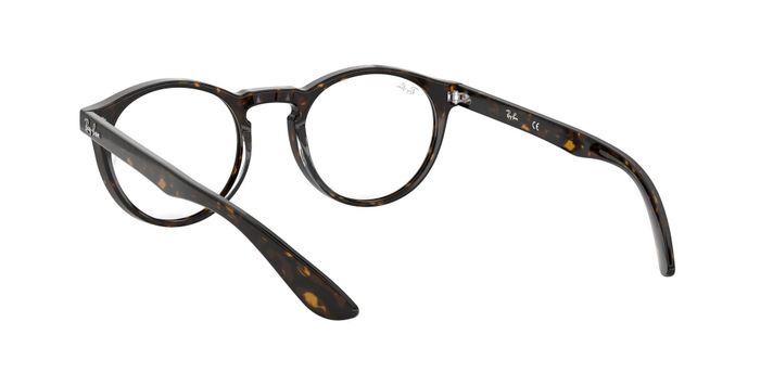 Ray-Ban Round RX5283-4