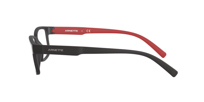 Arnette Bixiga-2