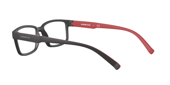 Arnette Bixiga-3