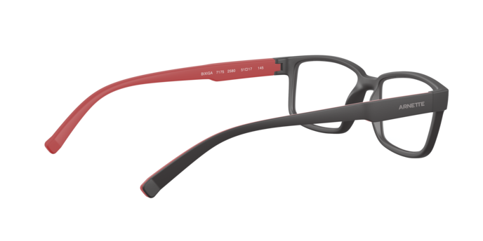 Arnette Bixiga-7