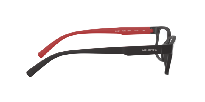 Arnette Bixiga-8