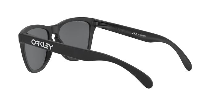 Oakley Frogskins Polarizado y Prizm-3