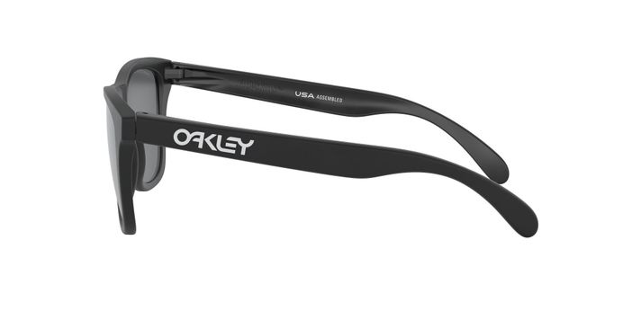 Oakley Frogskins Polarizado y Prizm-2