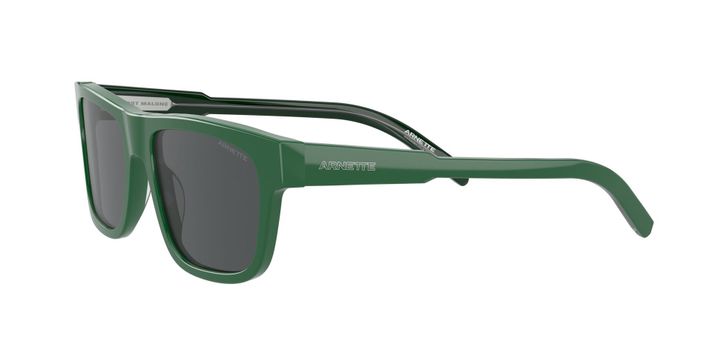 Arnette Post Malone x Arnette AN4279 120687 55-1