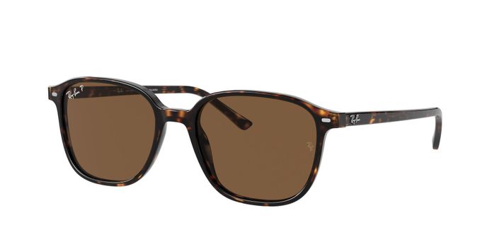Ray-Ban Leonard Polarizado-0