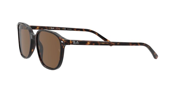Ray-Ban Leonard Polarizado-1