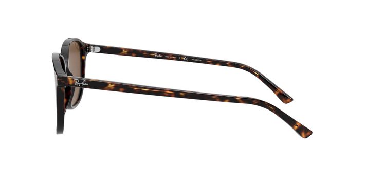 Ray-Ban Leonard Polarizado-2