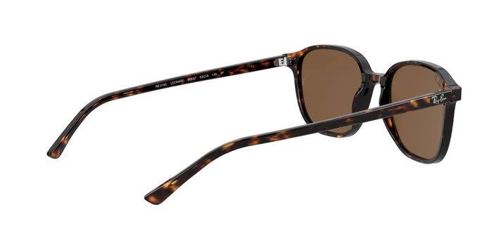 Ray-Ban Leonard Polarizado-7
