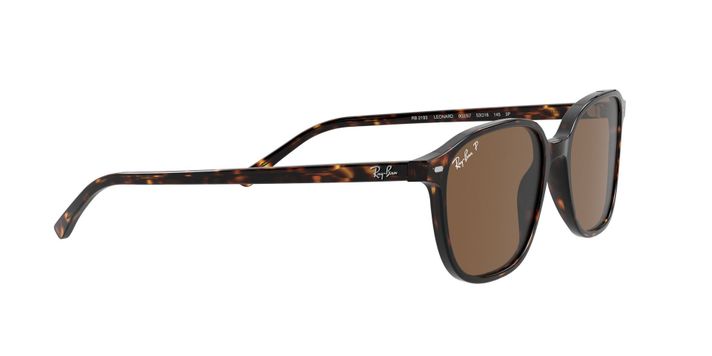 Ray-Ban Leonard Polarizado-9