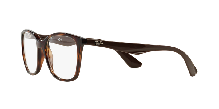 Ray-Ban RX7066 RX7066 5577 54-1