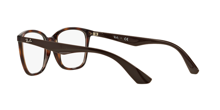 Ray-Ban RX7066 RX7066 5577 54-3