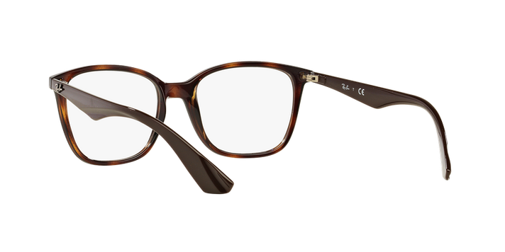 Ray-Ban RX7066 RX7066 5577 54-4