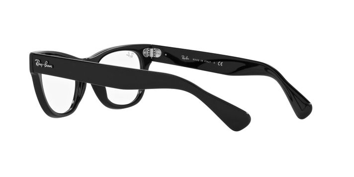 Ray-Ban Laramie-3