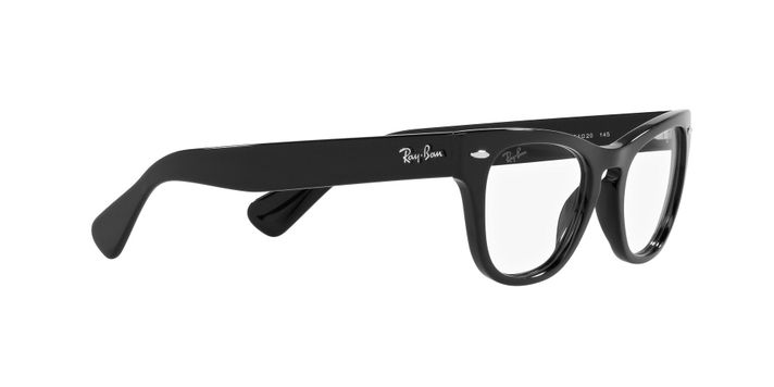 Ray-Ban Laramie-9