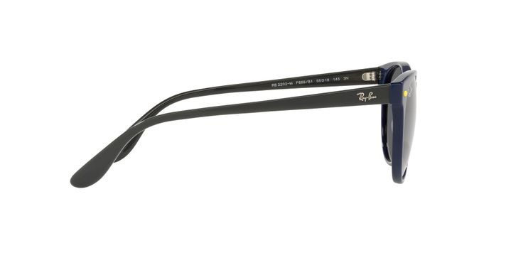 Ray-Ban RB2202M RB2202M F668B1 55 RB2202M F668B1 55-8