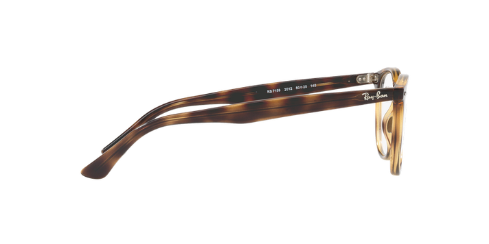 Ray-Ban Round RX7159 RX7159 2012 50-8