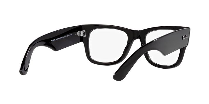 Mega Wayfarer-6