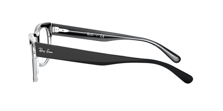 Ray-Ban RX5388 RX5388 2034 53-2