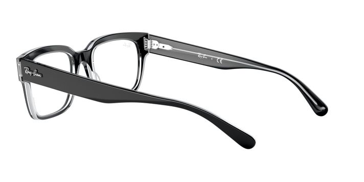 Ray-Ban RX5388 RX5388 2034 53-3