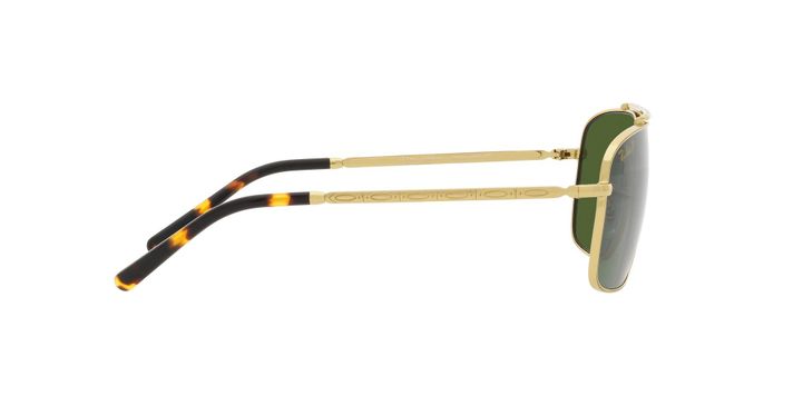 Ray-Ban RB3796-8