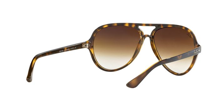 Ray-Ban Cats 5000-6