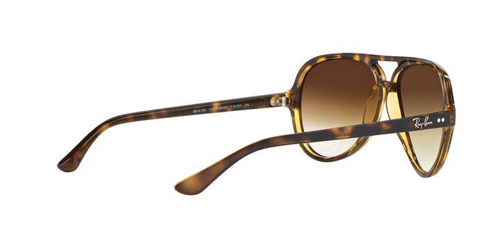 Ray-Ban Cats 5000-7