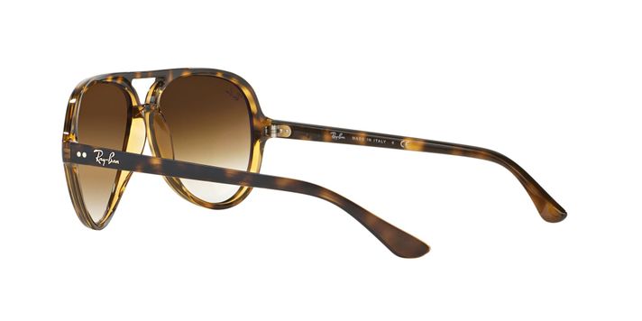 Ray-Ban Cats 5000-3
