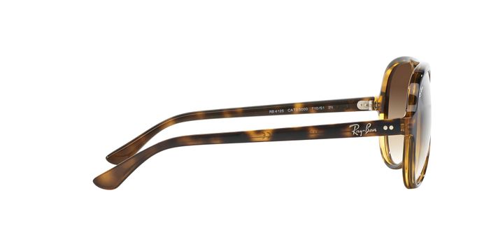 Ray-Ban Cats 5000-8