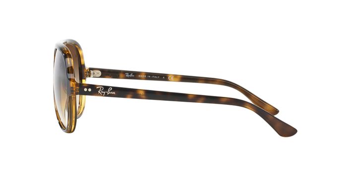 Ray-Ban Cats 5000-2