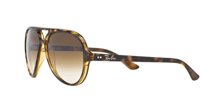 Ray-Ban Cats 5000-1