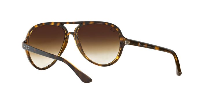 Ray-Ban Cats 5000-4